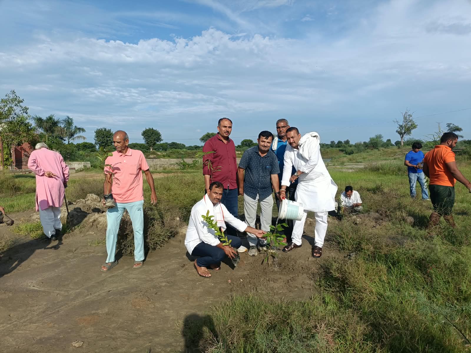 पौधा रोपण 